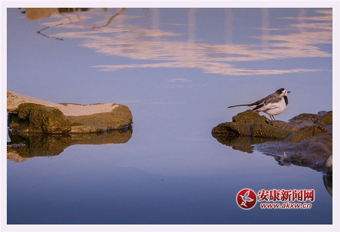 ��ˮ��һɫ���zӰ��Ƥ�¾S���f(shu��)��������Ƭ��2017��12��3�������ʡ�����Нh�����Ĕz����չ�F(xi��n)�����õ����B(t��i)�h(hu��n)����(li��n)ϵ�Ԓ��