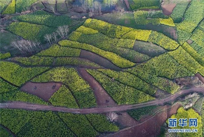 �������hꎽ�ɫ�Ͳ˻���