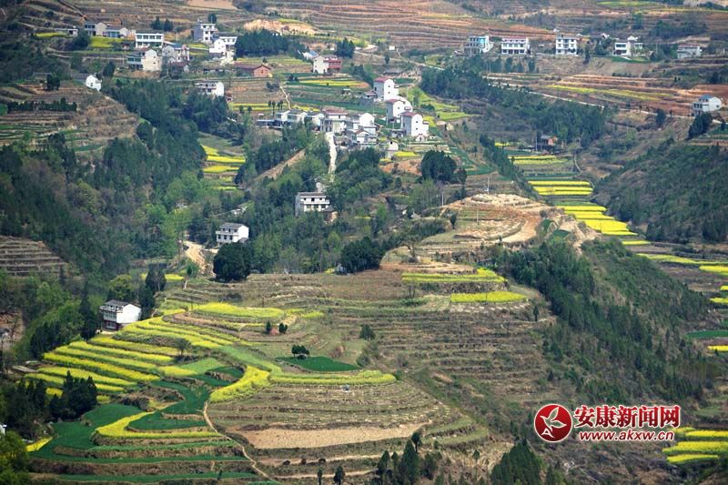 �D2.�����������̎�����(n��i)ꑸ��������߁���ɽ����ɽ����ɽ��������ص�6�N���ε�ò���c�����˷�����Ϣ���@����˂����ò����