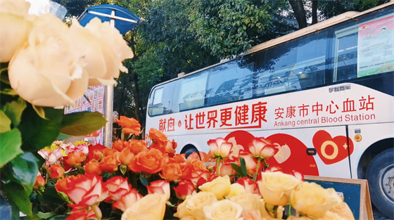 安康這三兄妹，熱血！