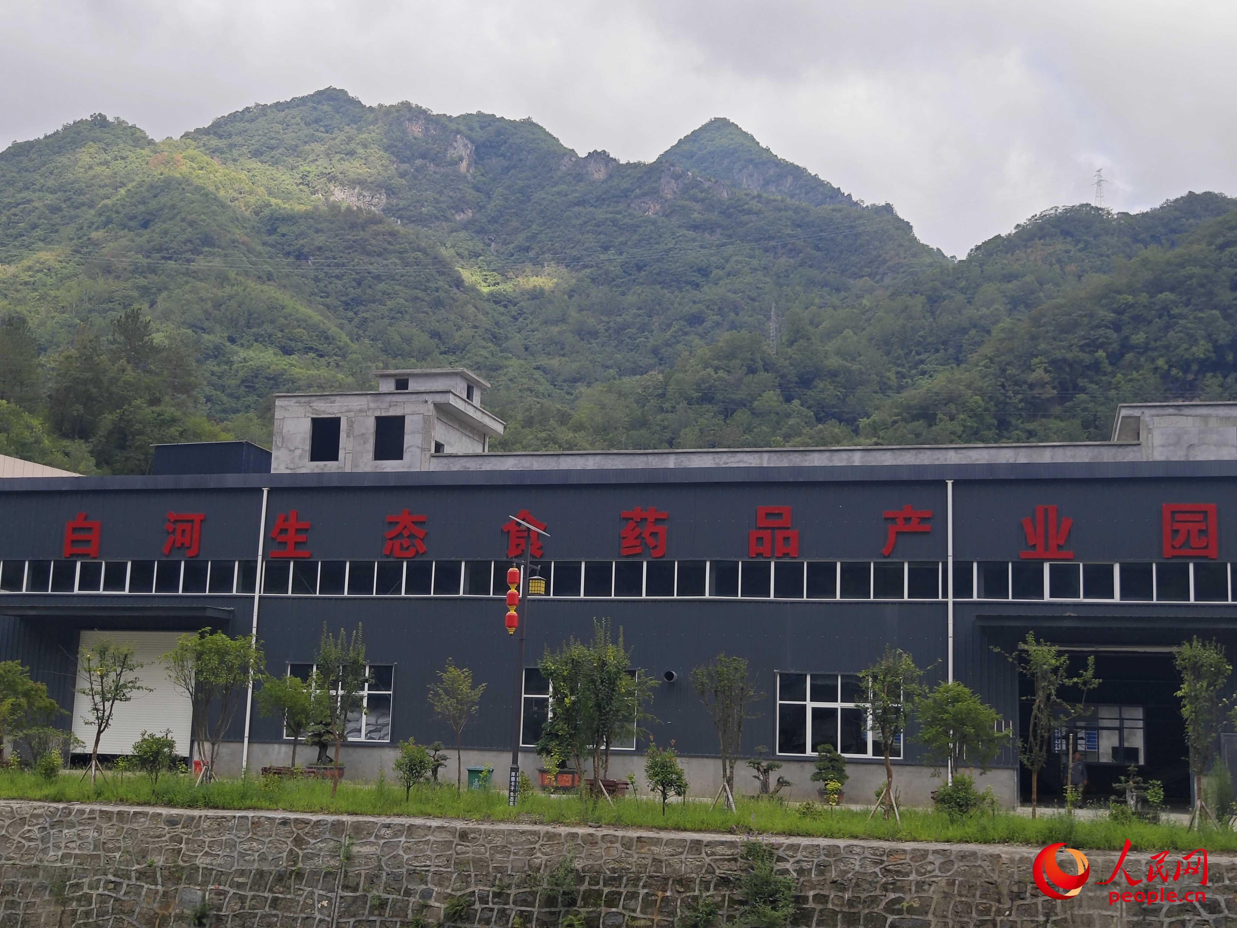 卡子鎮(zhèn)新建的社區(qū)工廠。人民網(wǎng)記者 黃鈺攝